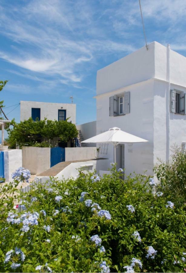 Apollonion House Apartment Apollonia  Bagian luar foto